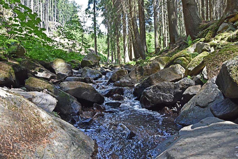 Prunovsk potok v Krunch horch.