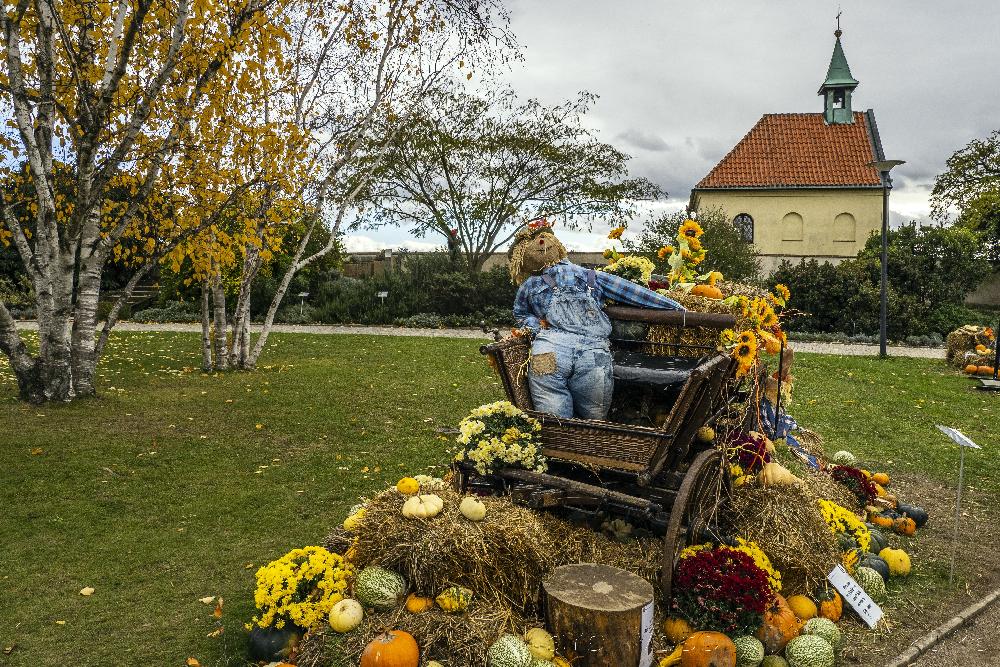 Botanick� zahrada Praha Troja