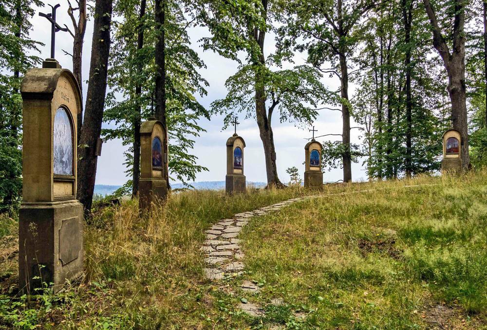 K��ov� cesta na vrchu J�chym u Lipov� (�esk� Nizozem�).
