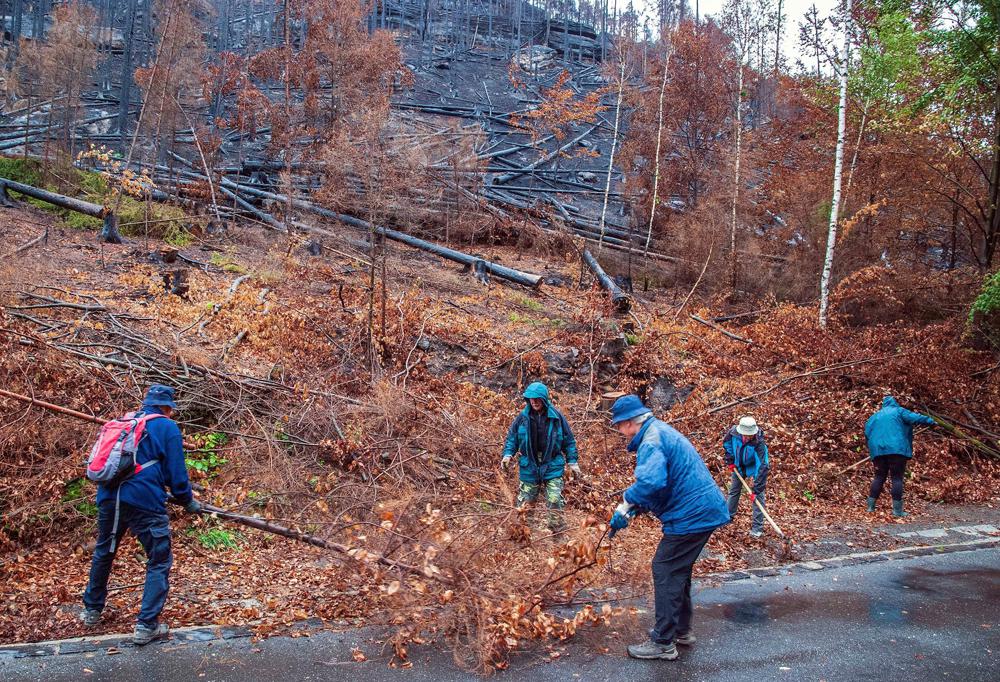 �lenov� K�T D���n pom�haj� v N�rodn�m parku �esk� �v�carsko odstra�ovat n�sledky po��ru.