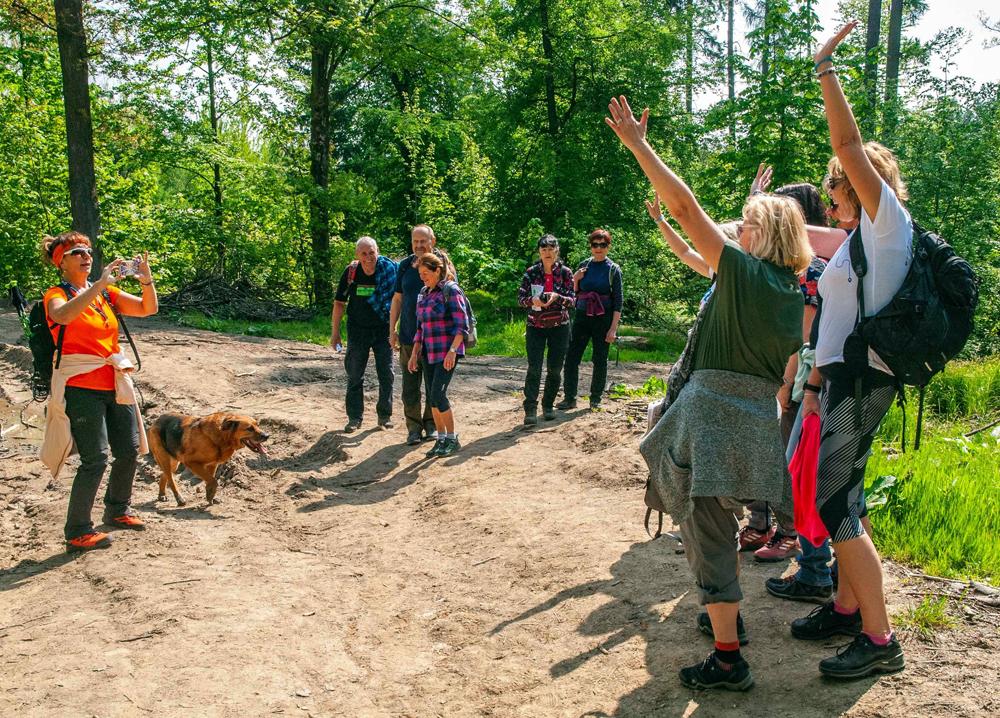 Severn� stopou 2023 - mezin�rodn� turistick� pochod v Doln� Poustevn�