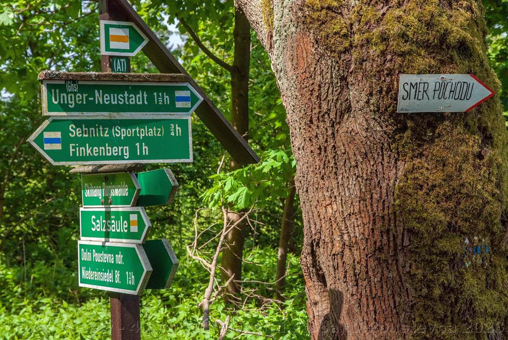 Severn� stopou 2023 - mezin�rodn� turistick� pochod v Doln� Poustevn�
