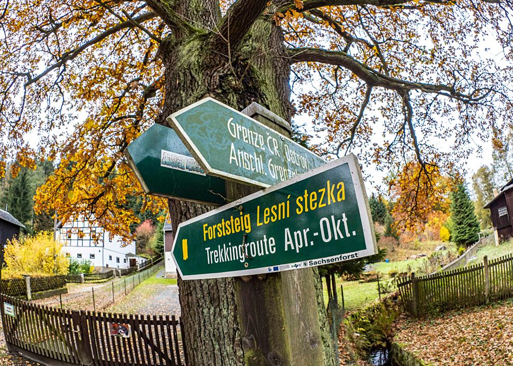 Turistick� rozcestn�k Lesn� stezky (Forststeig) u Ottom�hle v Bielatalu.