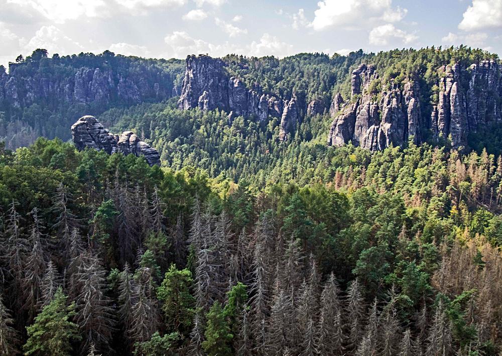 Sask� �v�carsko.