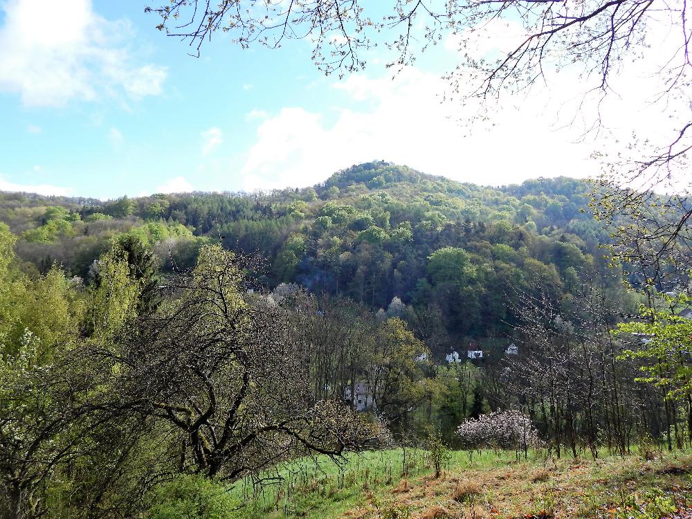 Hrad Blansko z druh� strany �dol� na Fri�ov� �lut� TZT.