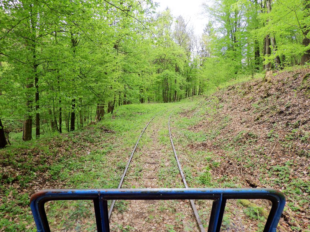 Na zubrnick� trati s drez�nou v roce 2019.