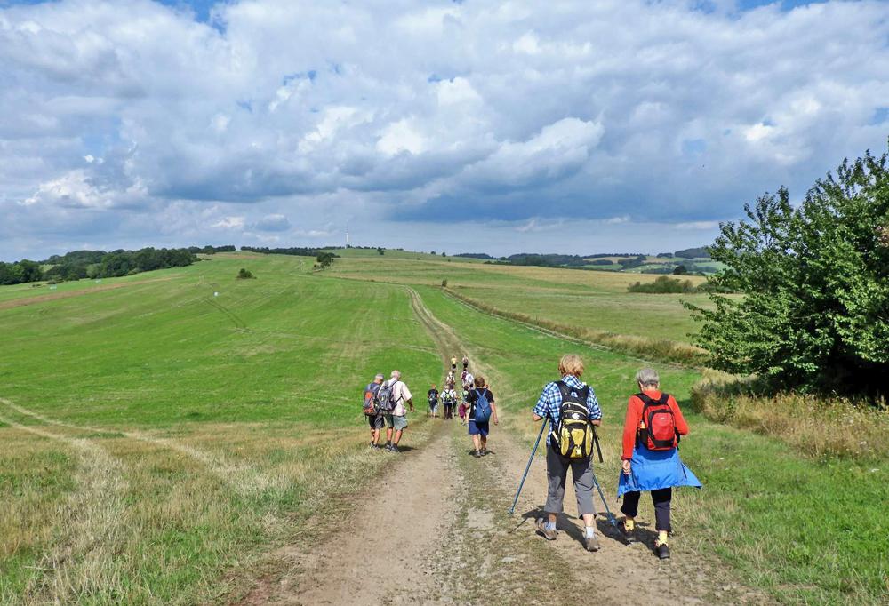 K Bukovce je to od V�ovy rozhledny asi �ty�i kilimetry.