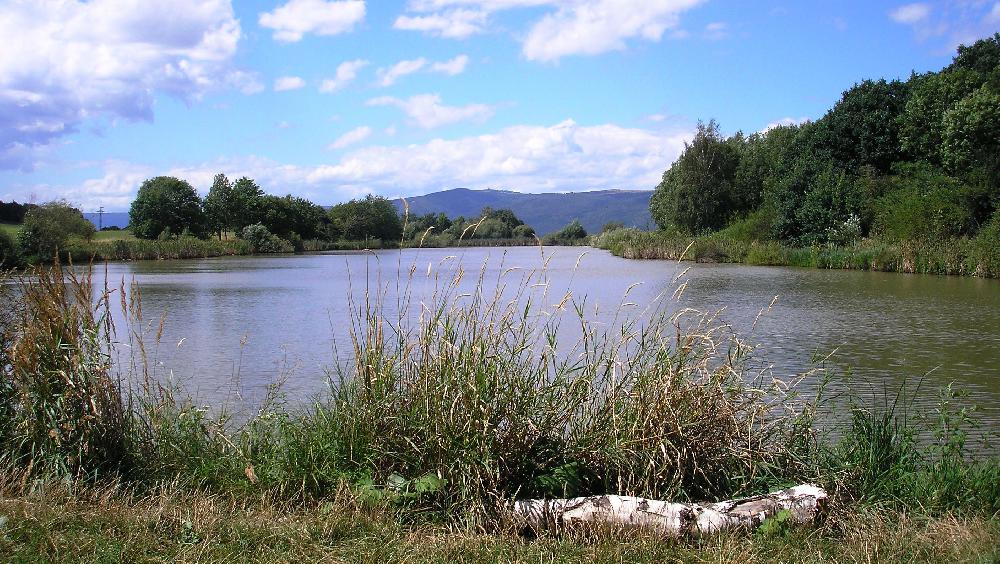 Rybn�k na n�horn� plo�in� St��ovick�ho vrchu.