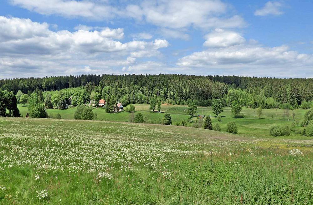 Pastviny v Kru�n�ch hor�ch - �ern� potok