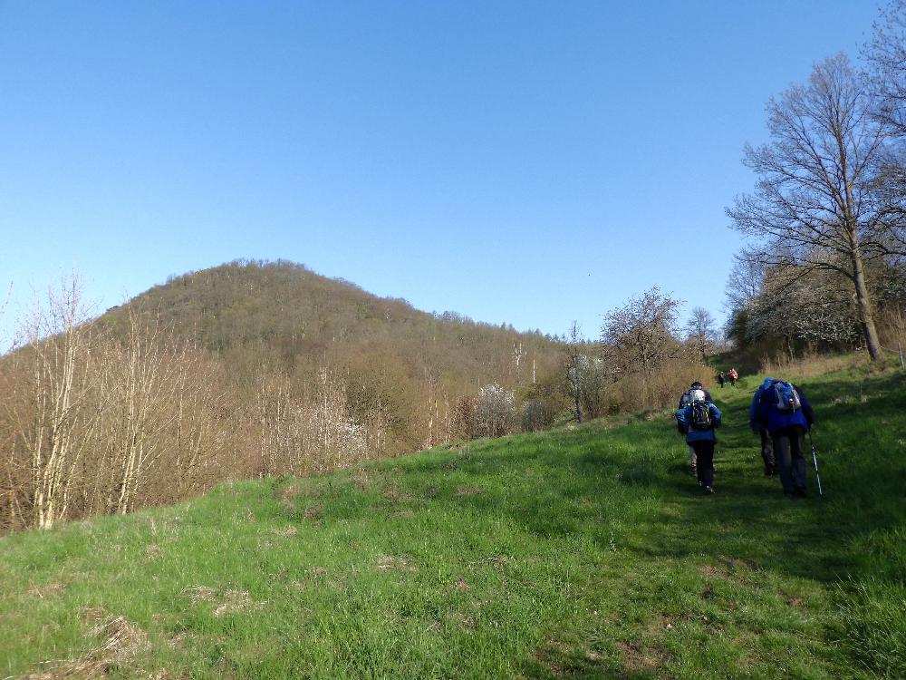 Cesta z Ne�t�dic na Koz� vrch.