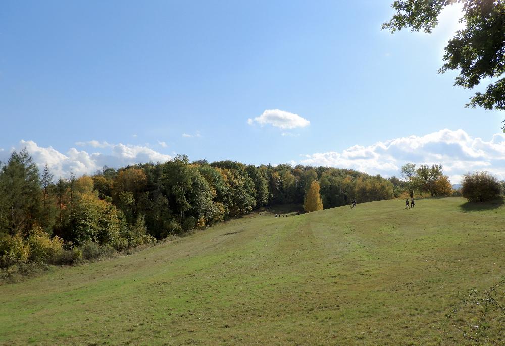 Louka pod kopcem Vyhl�dka.