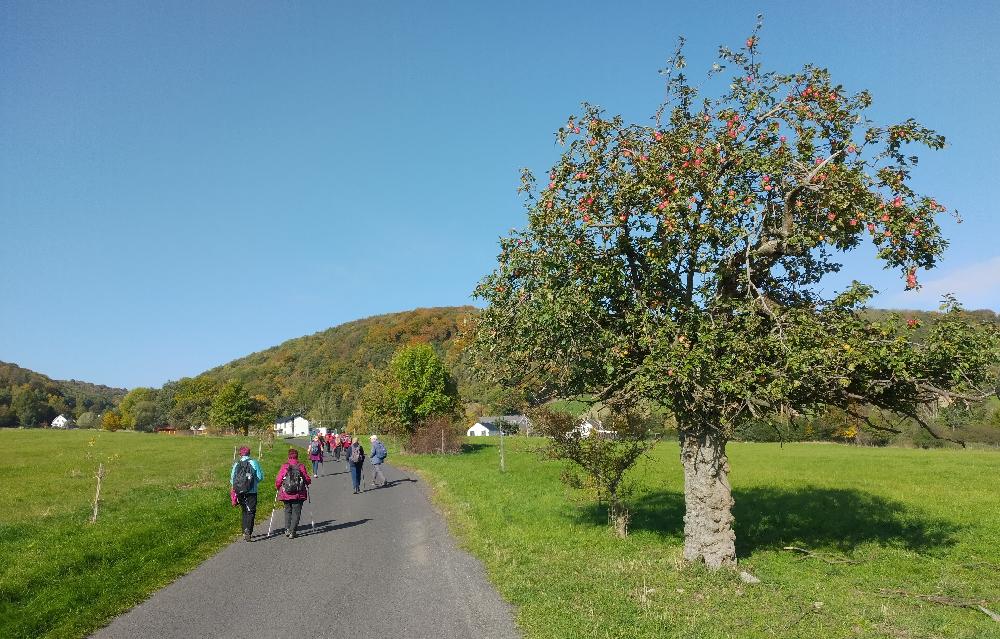 Mod�e zna�en� turistick� trasa z Mal�ho Chvojna.
