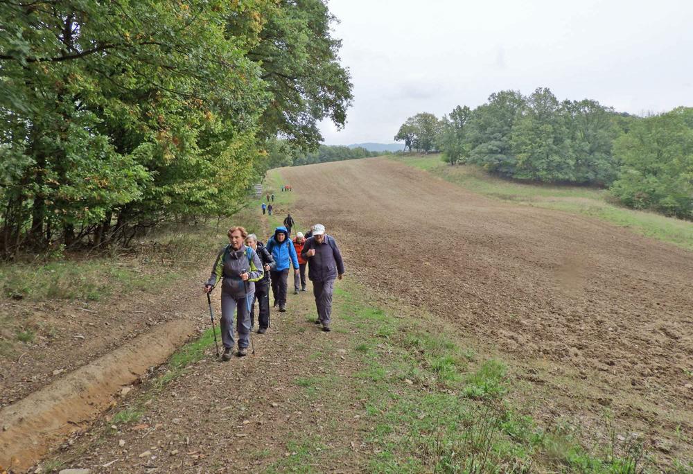 �lut� trasa z Dobkovic na Bradlo.