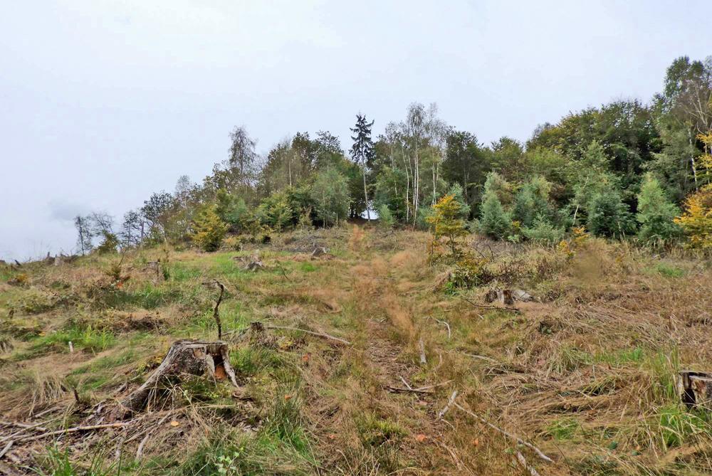 �lut� trasa z Dobkovic na Bradlo.