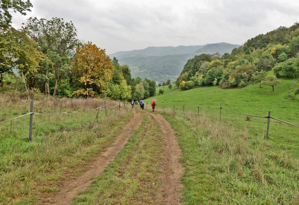 Sestup z Bradla do Povrl� - modr� trasa