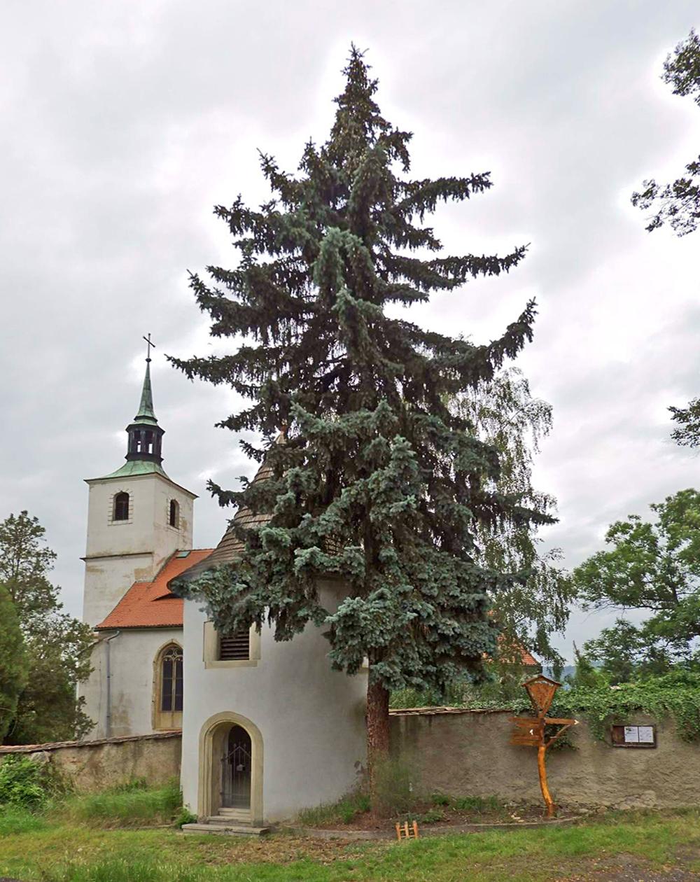 Kostel sv. Jakuba V�t��ho ve Sv�dov�.