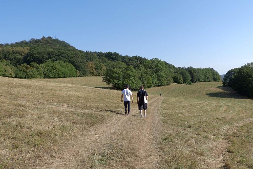 Cesta k vyhl�dce Miloslava Draxla.