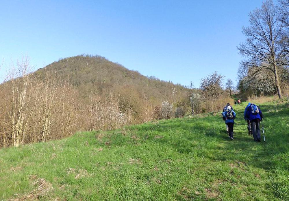 V�stup na Koz� vrch z Ne�t�dic.