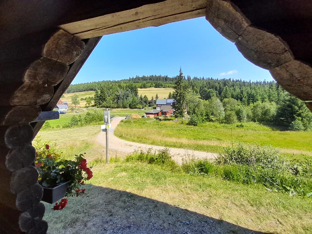 Rehefeld na Neomezen� stezce 28.7.2022. Dole je hist. d�m hl�da�e obory.