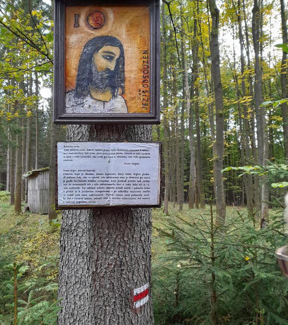 K��ov� cesta Ve Struh�ch mezi �irovnic� a Po��tky