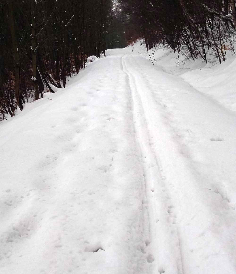 Cyklostezka 231 a �erven� se vz�cnou sn�hovou pokr�vkou vedou neomyln� k R�zmburku.