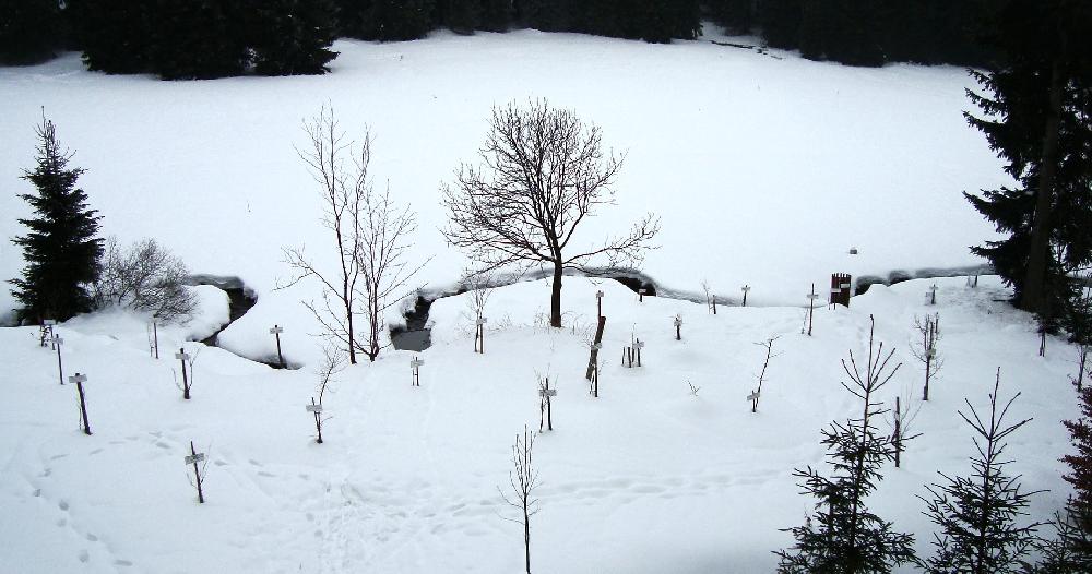 Kouzeln� meandry Moldavsk�ho potoka se svatebn�m parkem.