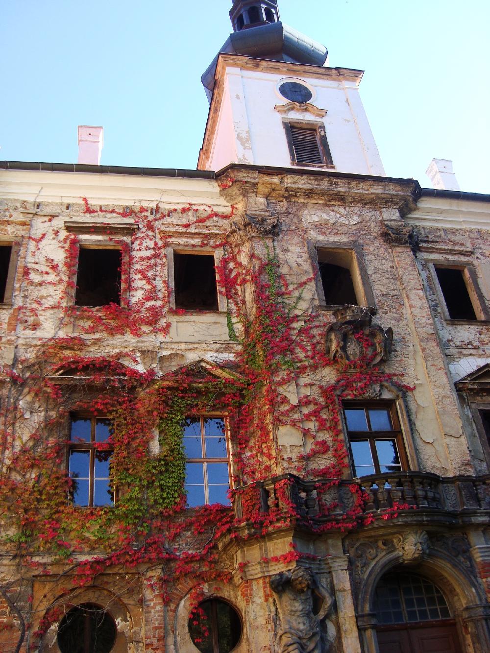 Rok 2011. N�dvo�� z�mku Jeze��.