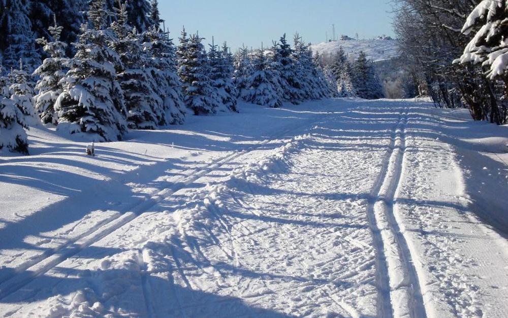 V pozad� nejvy��� hora okresu Most Lou�n� 956 m.