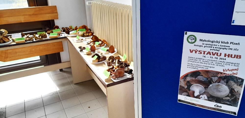 Z�pado�esk� univerzita Plze� poskytla prostor 2denn� v�stav� hub.