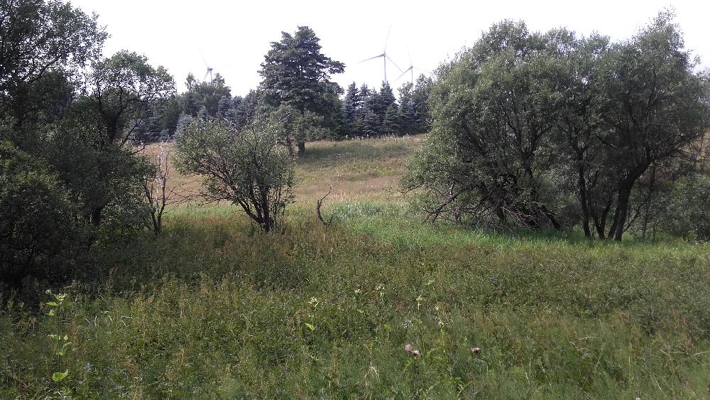 M�sto po��zen� historick� foto k sn�mku Kotlina jez�rko se hledalo obt�n�, je zarostl�.