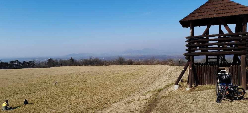 Tat�nek s dv�ma kluky na kole a psem na Stradonce. Rozhledna z r. 2009.