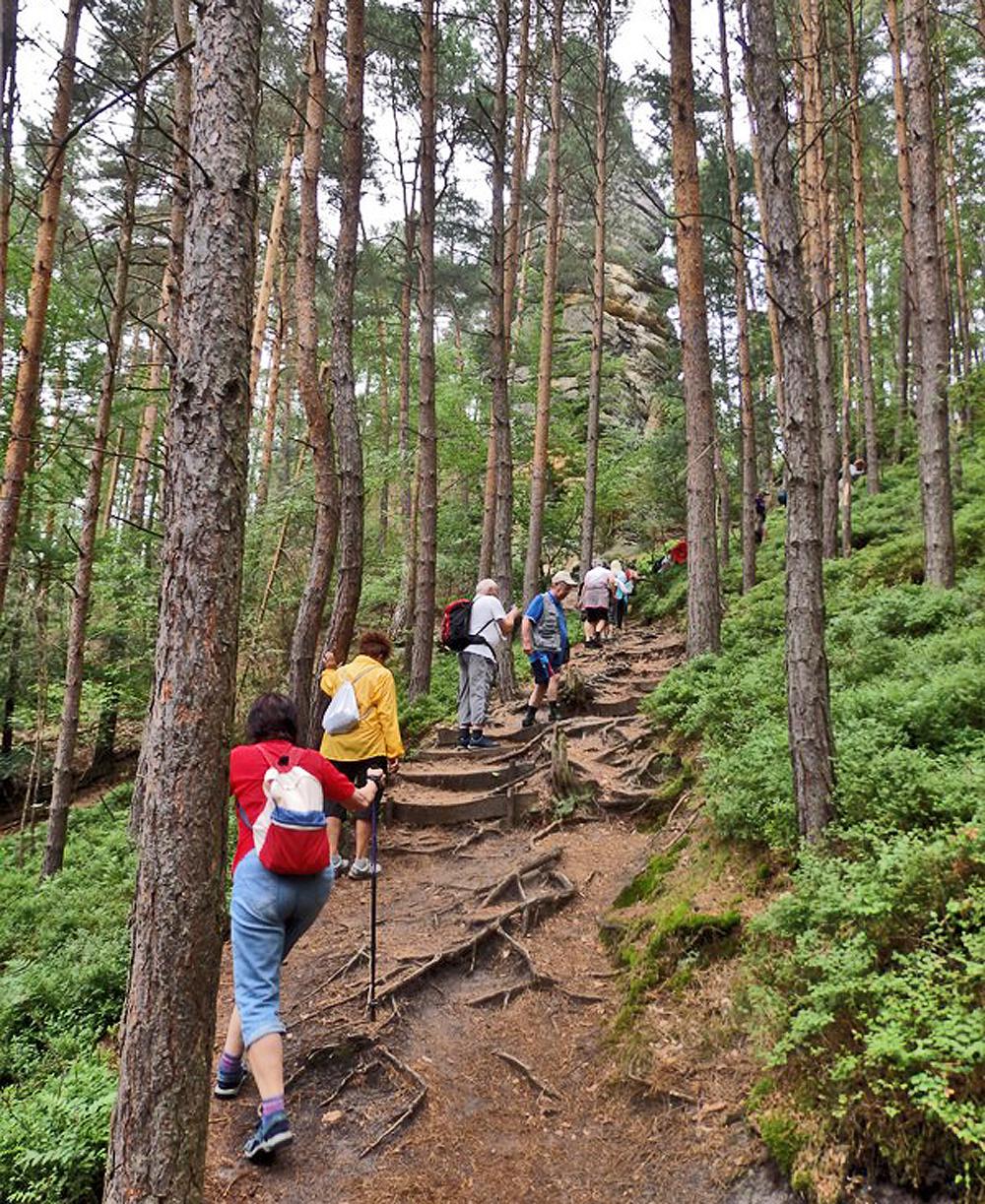 Turistikou zocelen� sedmdes�tn�ci z Chomutova zdol�vaj� n�ro�n� ter�n lu�ick�ho podh��� s lehkost�