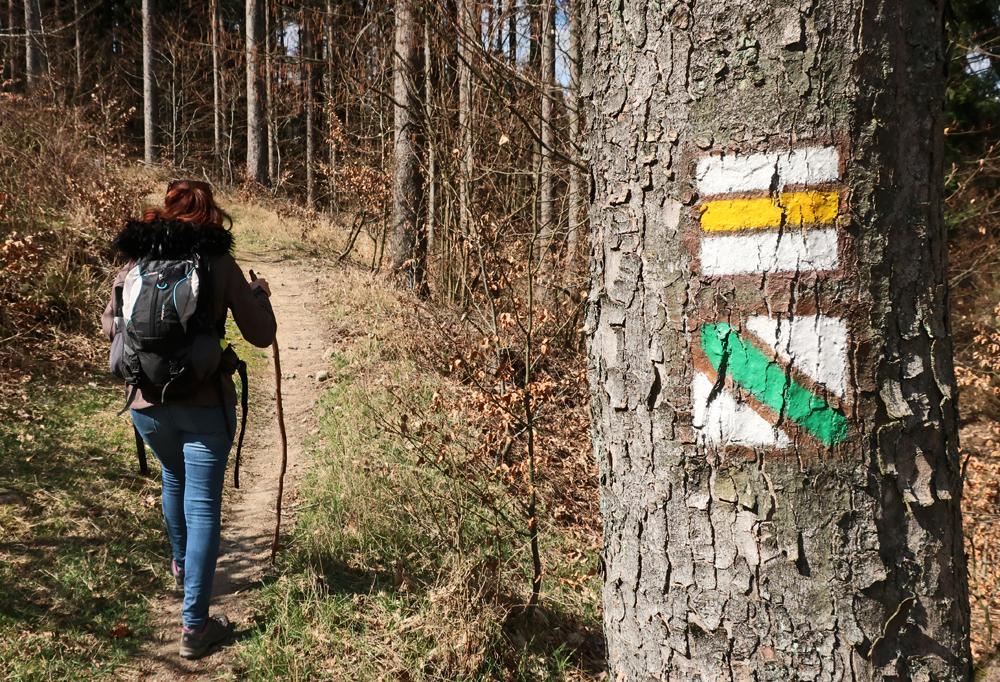 Turistick� zna�ka v lese.