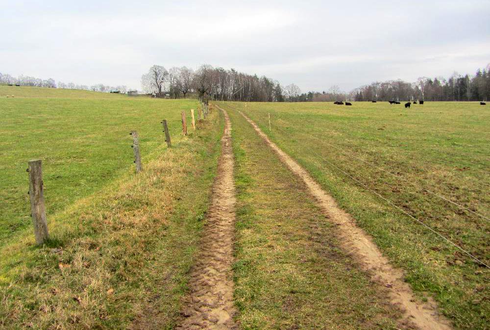 Proch�zej�c� turistick� trasa mezi pastvinami v Sasku