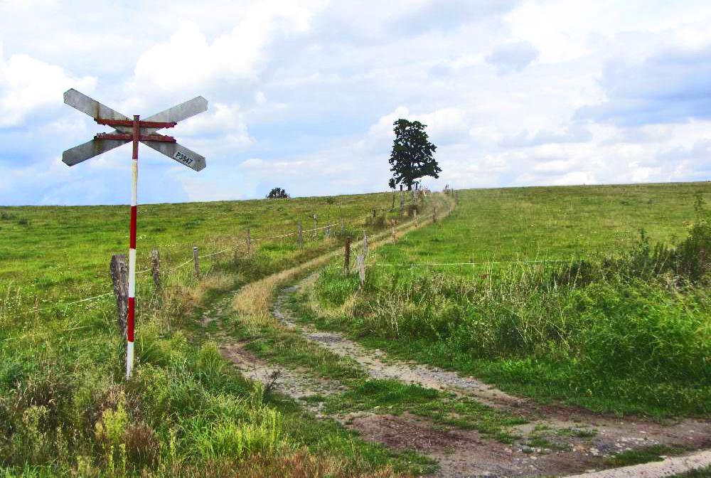 Turistick� cesta k Zeckelovu k��i