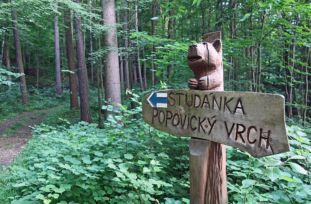 Stud�nka pod Popovick�m vrchem.