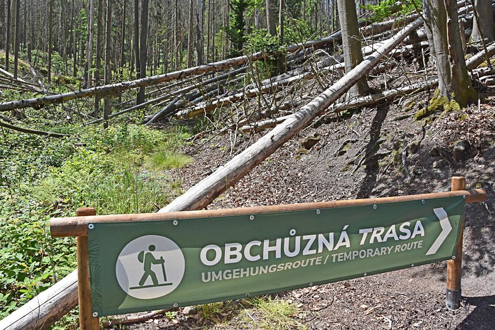 Obch�zn� trasa u Janova.