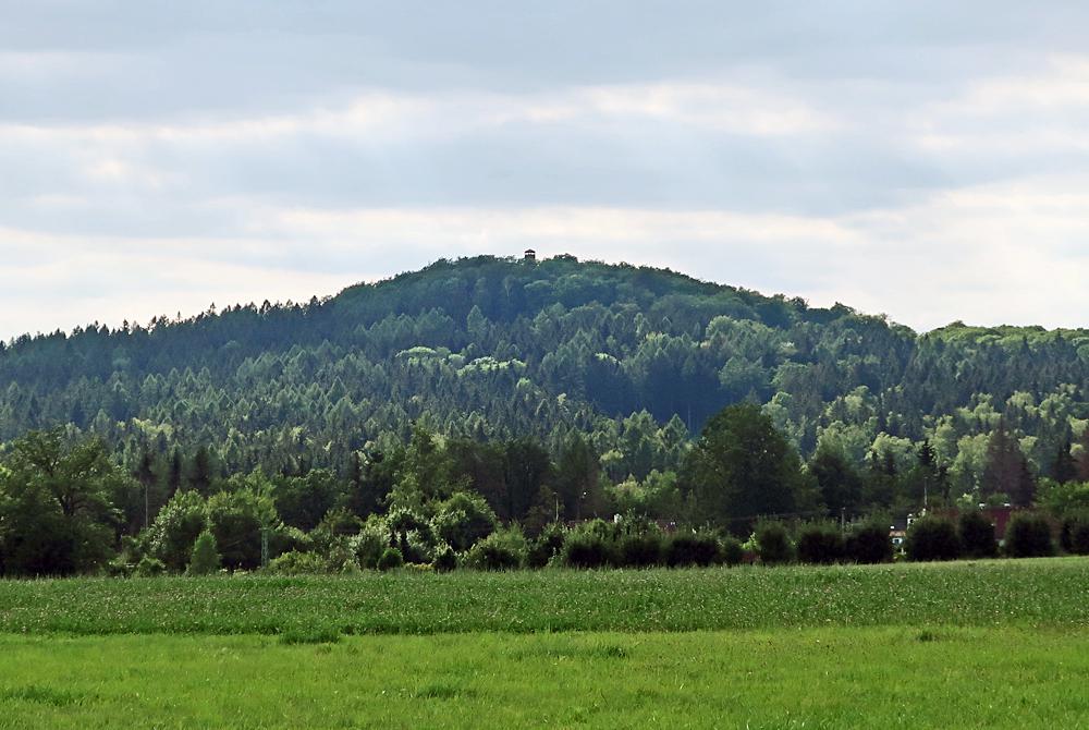 Vrch Dymn�k s rozhlednou - pohled od Star�ch K�e�an.