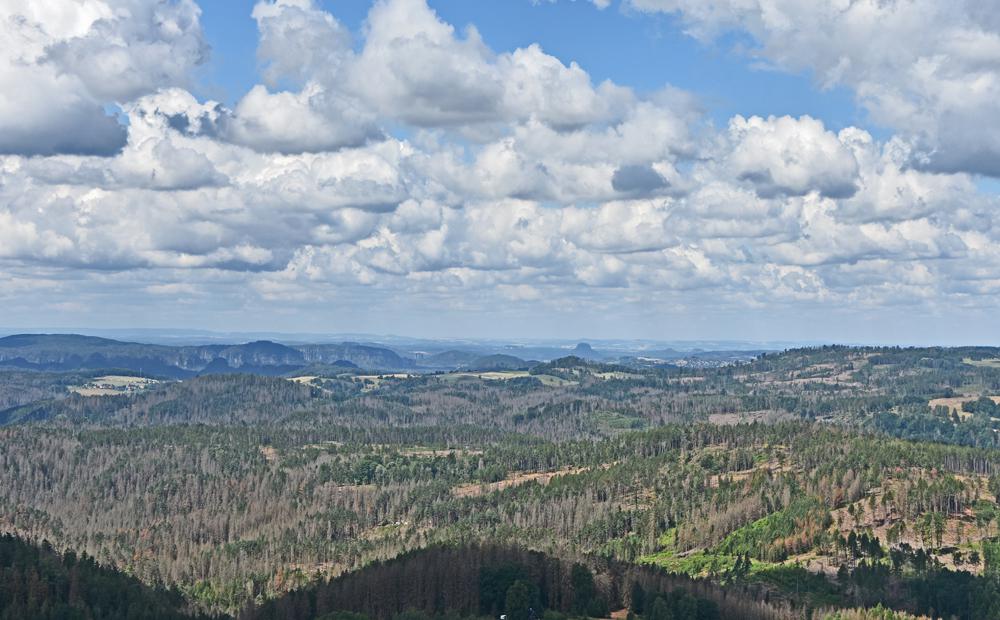 V�hled z rozhledny Vl�� hora u Kr�sn� L�py sm�rem k Sask�mu �v�carsku.