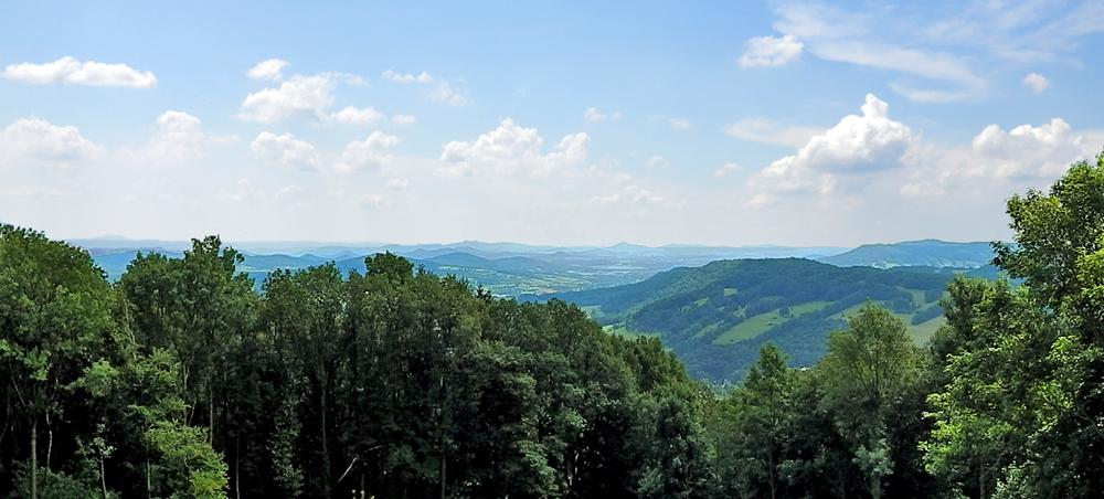 V�hled z rozhledny Kohout.