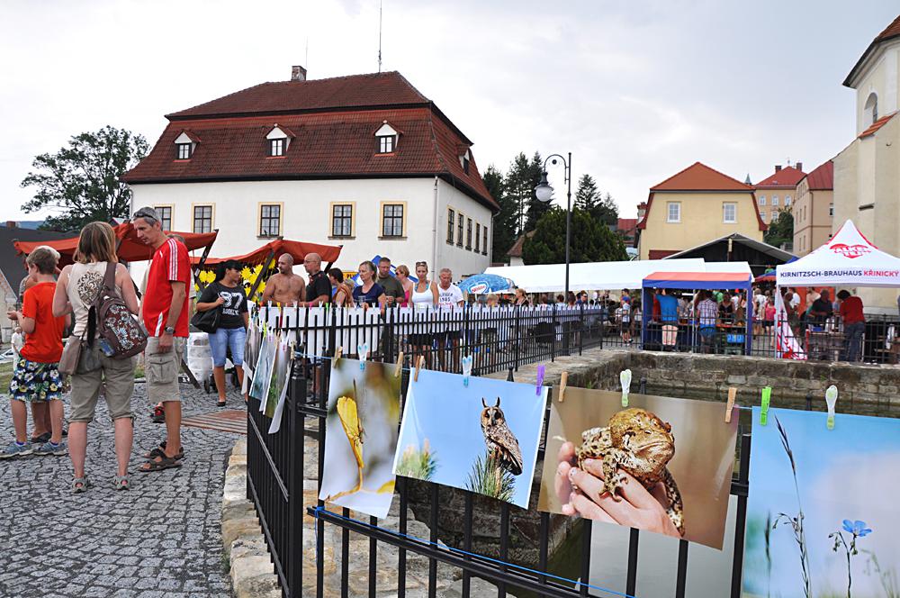 Toltejnsk slavnosti - Jietn pod Jedlovou