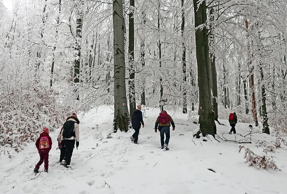 V�stup na Hrazen� - �erven� TZT