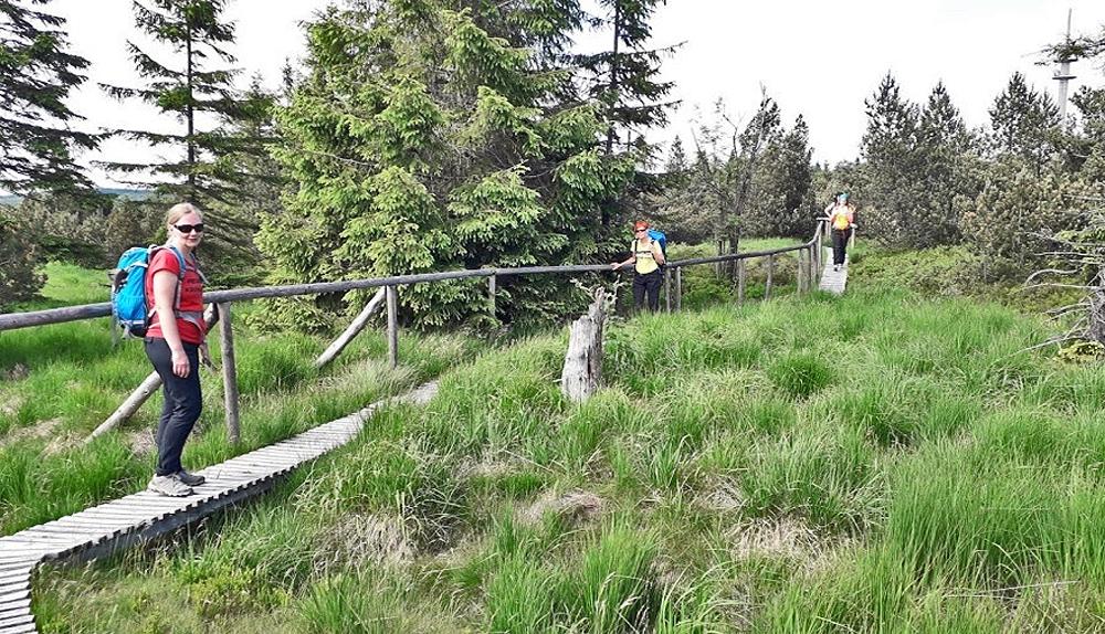 Georgenfelsk� vrchovi�t� (Georgenfelder Hochmoor)
