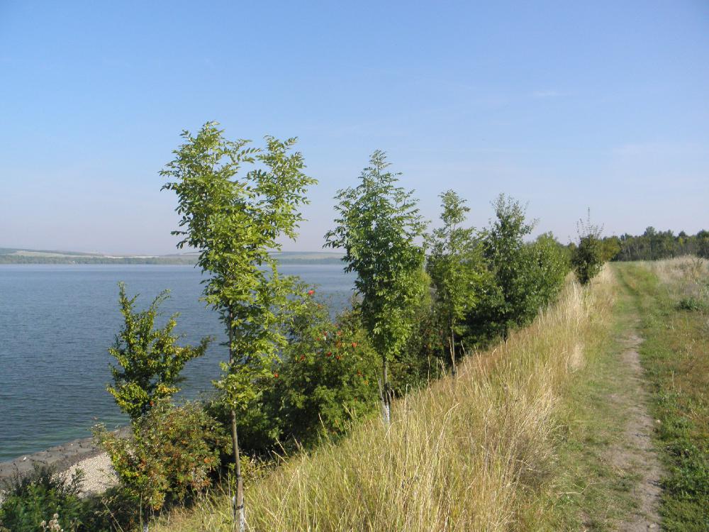 Nechranick� p�ehrada