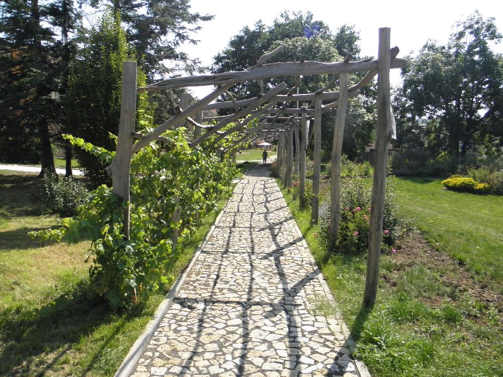 B�ezno u Chomutova - vinohrad, kam se pod�v� 