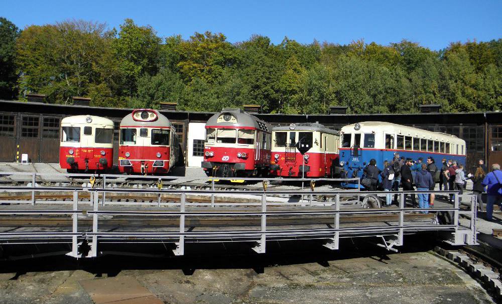 Vyhřívají se na sluníčku - Singrovka, Krokodýl, Hydra, Kredenc, Modrý šíp Vyhřívají se na sluníčku - Singrovka, Krokodýl, Hydra, Kredenc, Modrý šíp