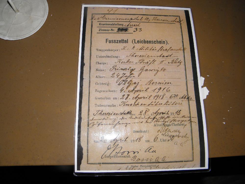 �mrtn� list Gavrilo Principa
