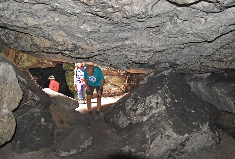 Lesn� stezka - Forststeig Elbsandstein - Labsk� p�skovce.