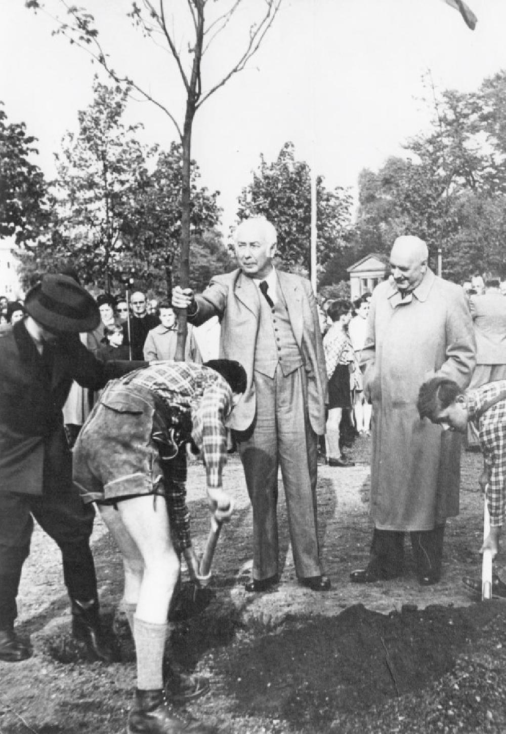 Na zahajovac� akci u p��le�itosti Dne strom� v roce 1952