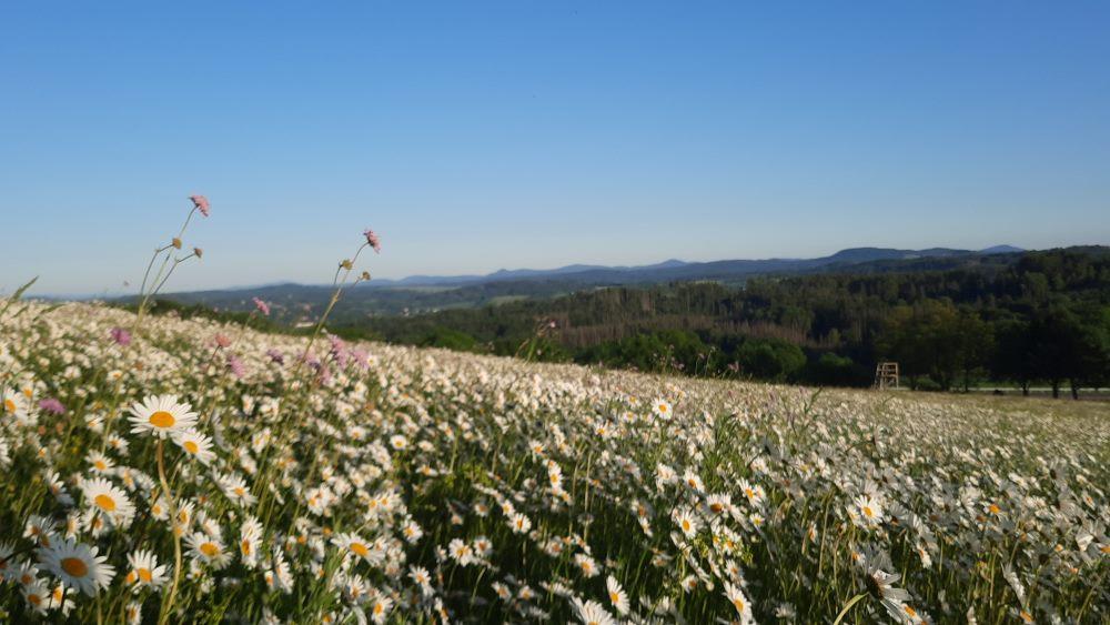Typick� krajina Horn� Lu�ice